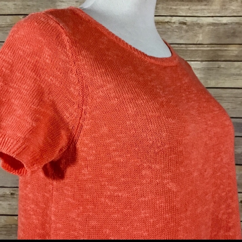 Springtime Short Sleeve Sweater Time - Picture 7 of 8